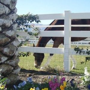 Meet your Posher, Paula